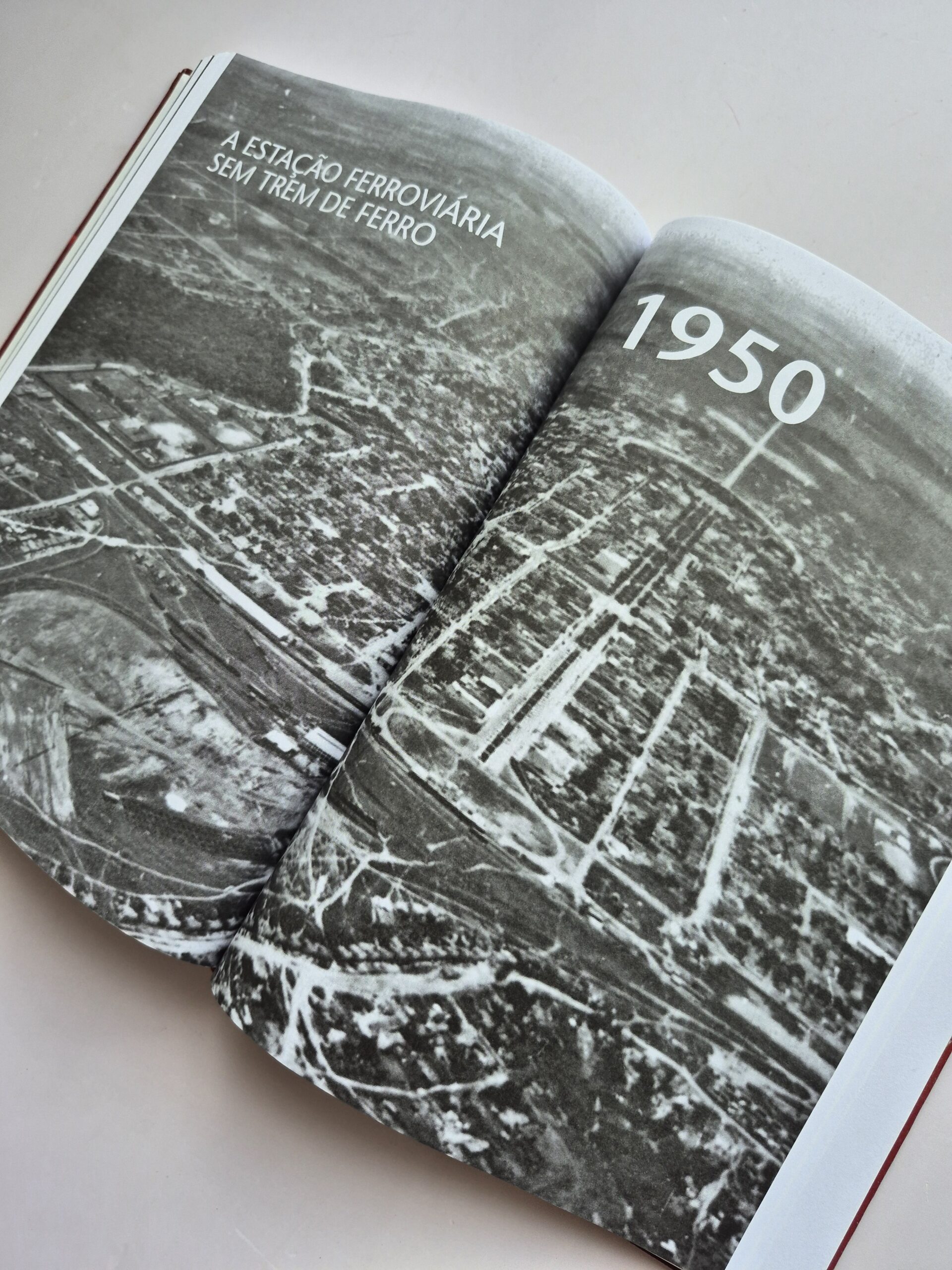 Livro Goiânia Em Guerra Sangue, Sede E Escuridão Nos Anos 40 - Iúri Rincon Godinho - Imagem 2