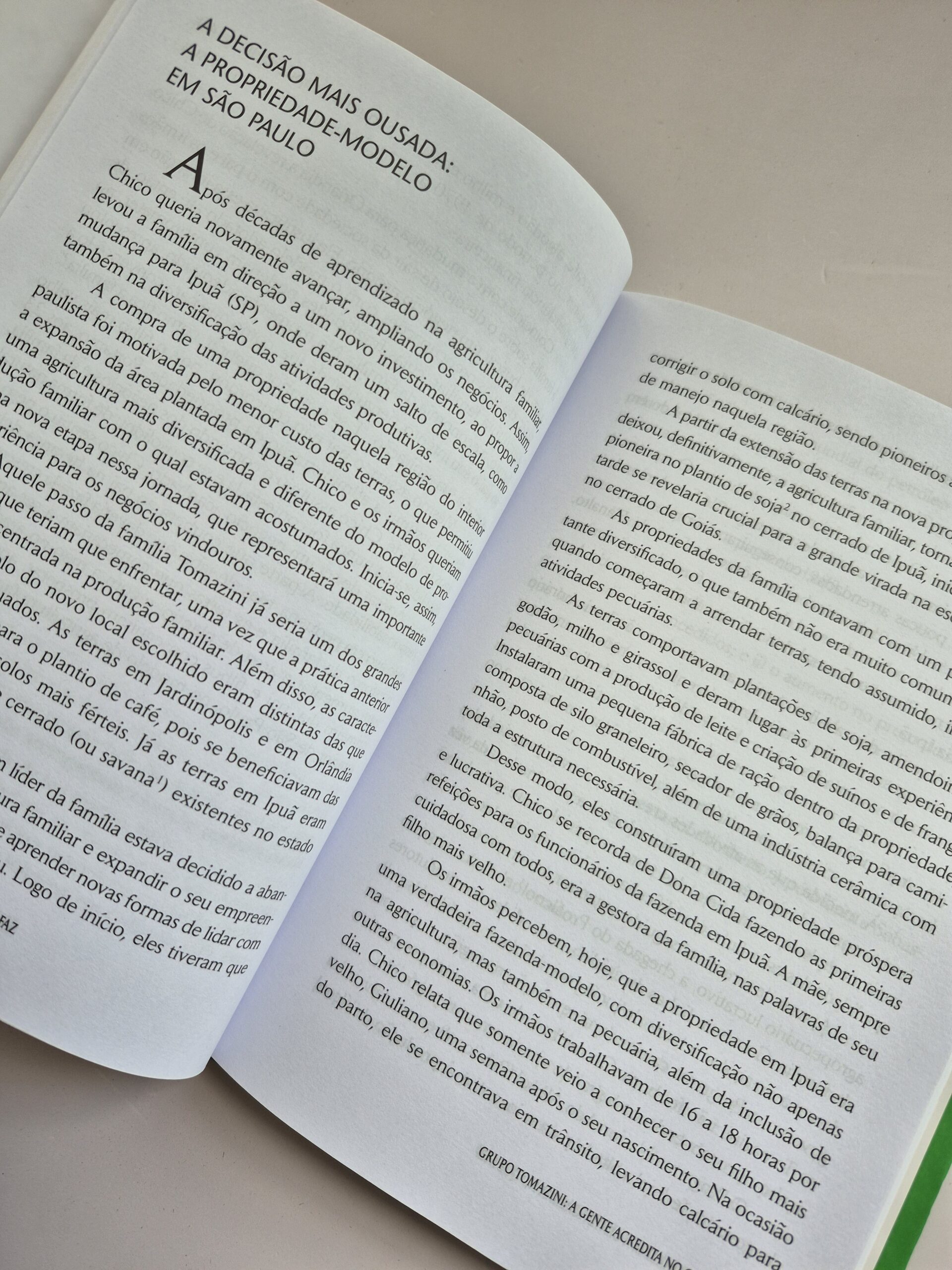 Livro A Gente Acredita No Que Faz! - Denise Rezende, Lillian Maria A. De Rezende Alvares - Imagem 5