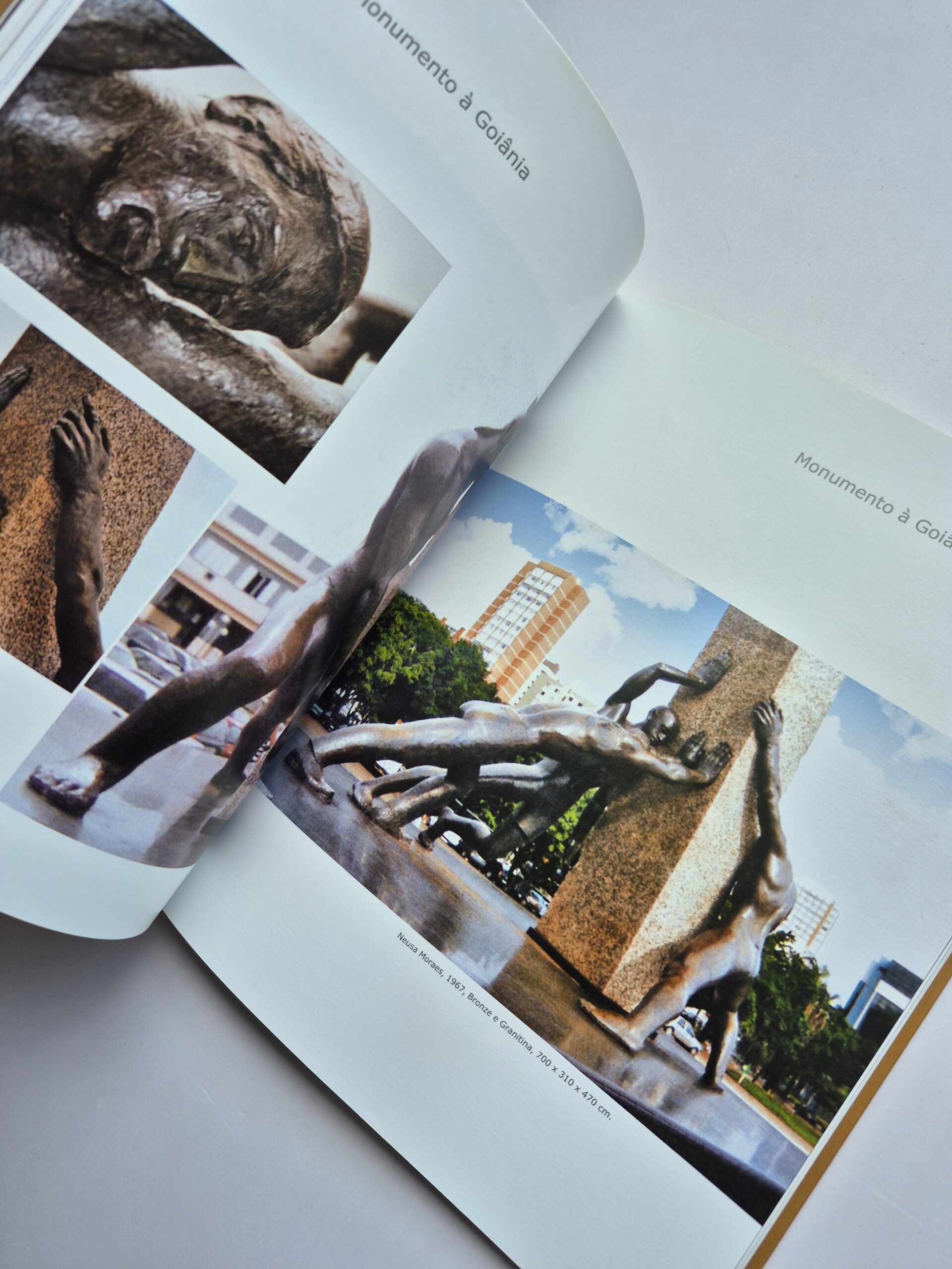 Livro Iconografia Documentação Histórica e Fotográfica do Acervo Artístico no Município de Goiânia - Maria Madalena R. Cabral - Imagem 3
