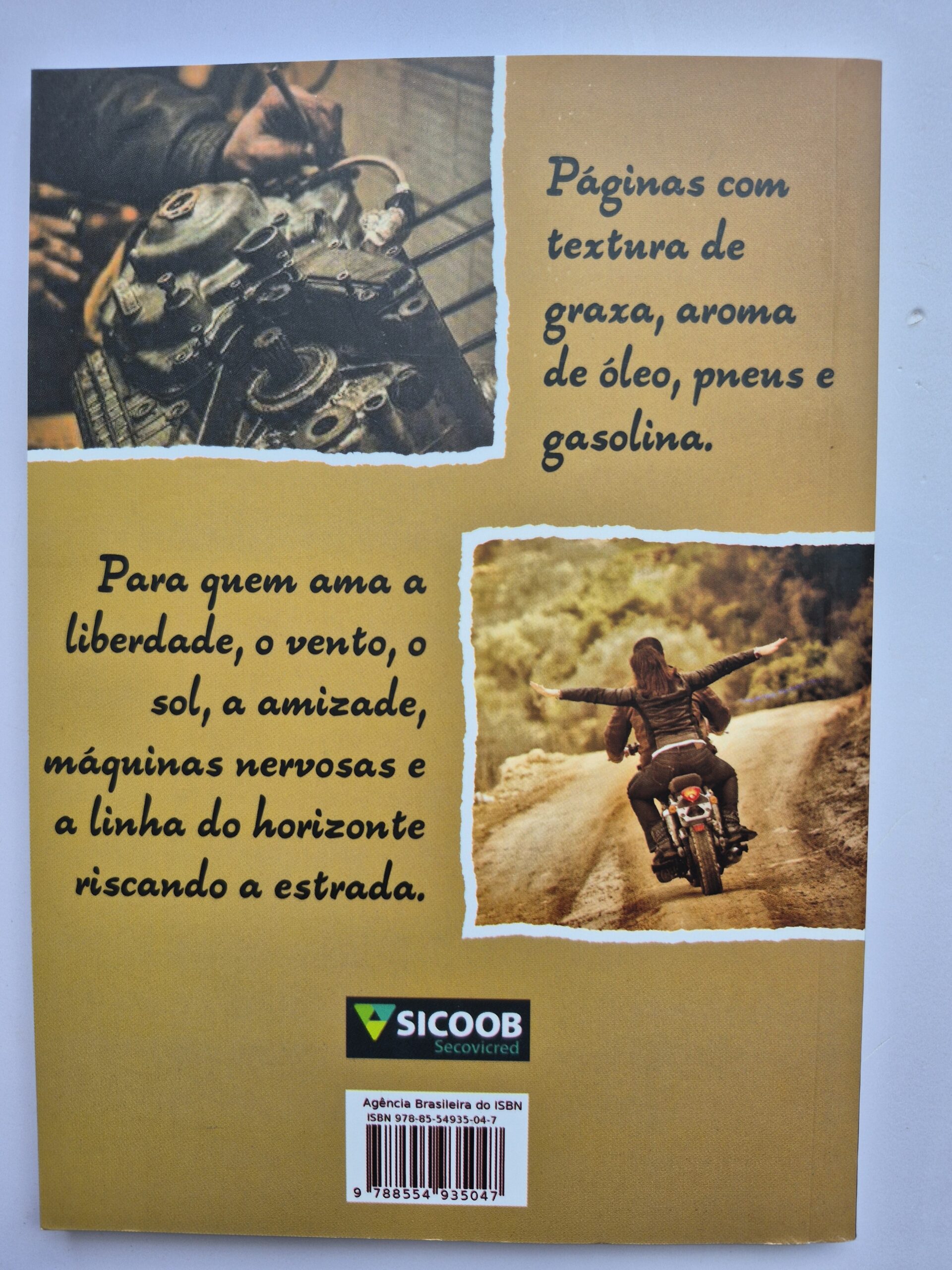 Livro Irmãos Dos Ventos - Dário Álvares - Imagem 6