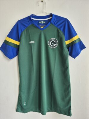 Goiás 2024 Grenn Modelo Jogador Treino Original