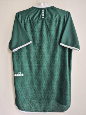 Alternative view of Goiás 2025 Diadora Modelo Jogador Home Original