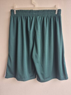 Alternative view of Goiás Short 2024 Green Modelo Jogador Original