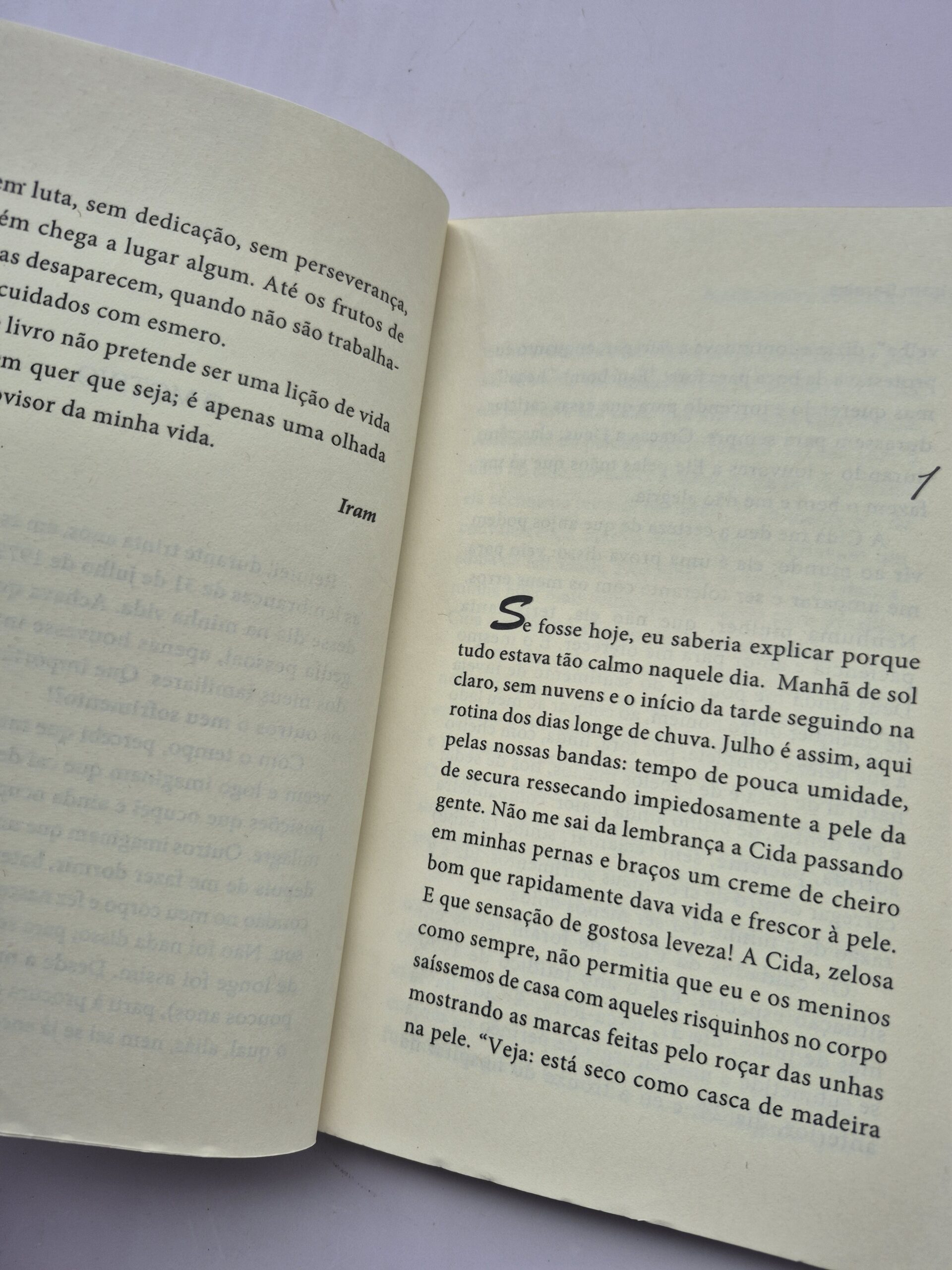 Ainda assim, continuei... - Iram Saraiva ⓛ - Imagem 2