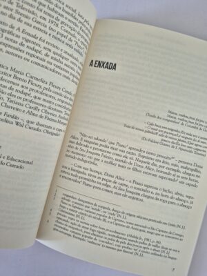 Alternative view of Livro A Enxada Conto - Bernardo Élis - Ed. Especial Ex-Libris ⓛ