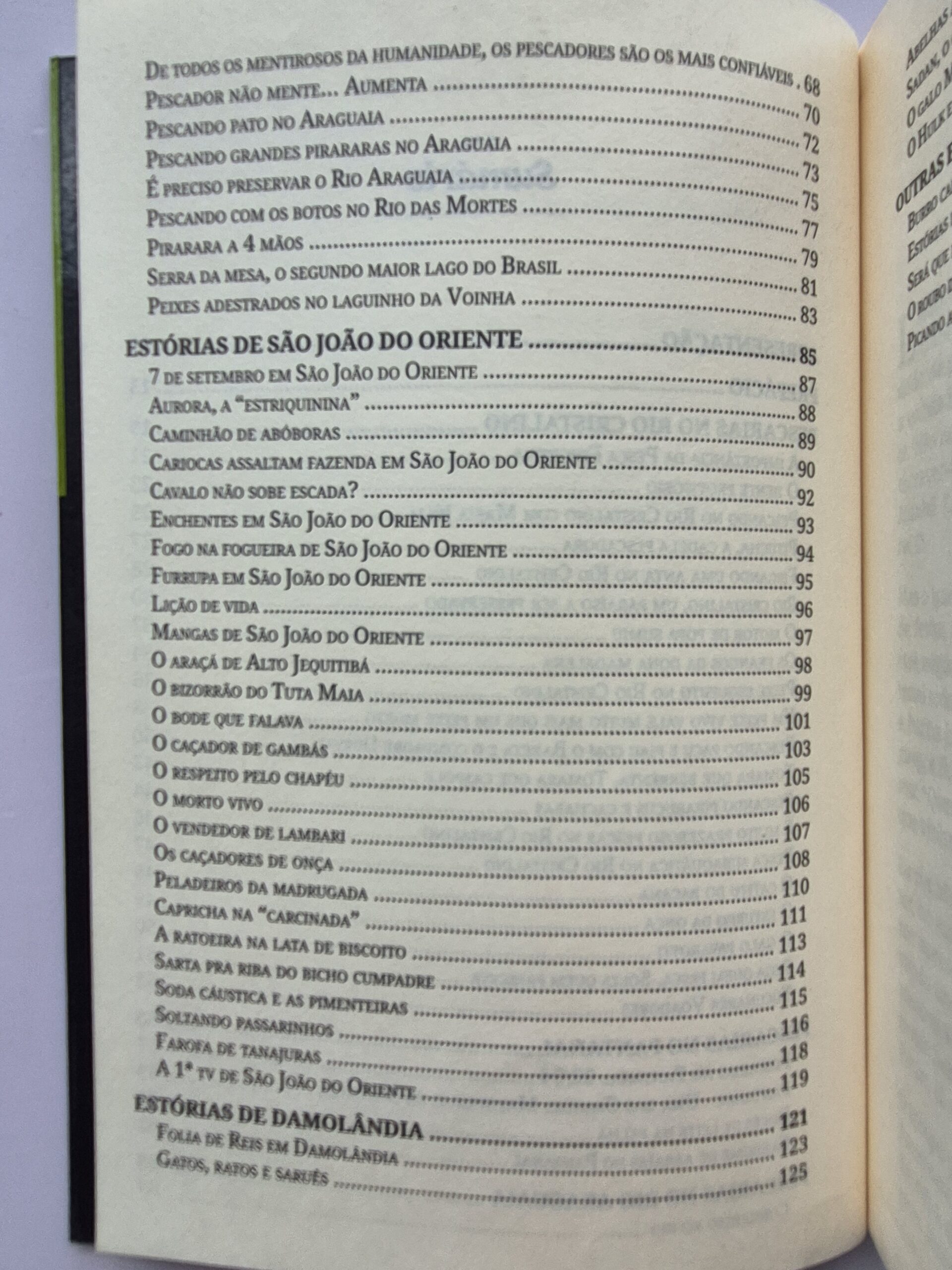 Livro Causos de Pescaria & Outras Estórias - Renato Maurício 1ª Edição ⓛ - Imagem 3