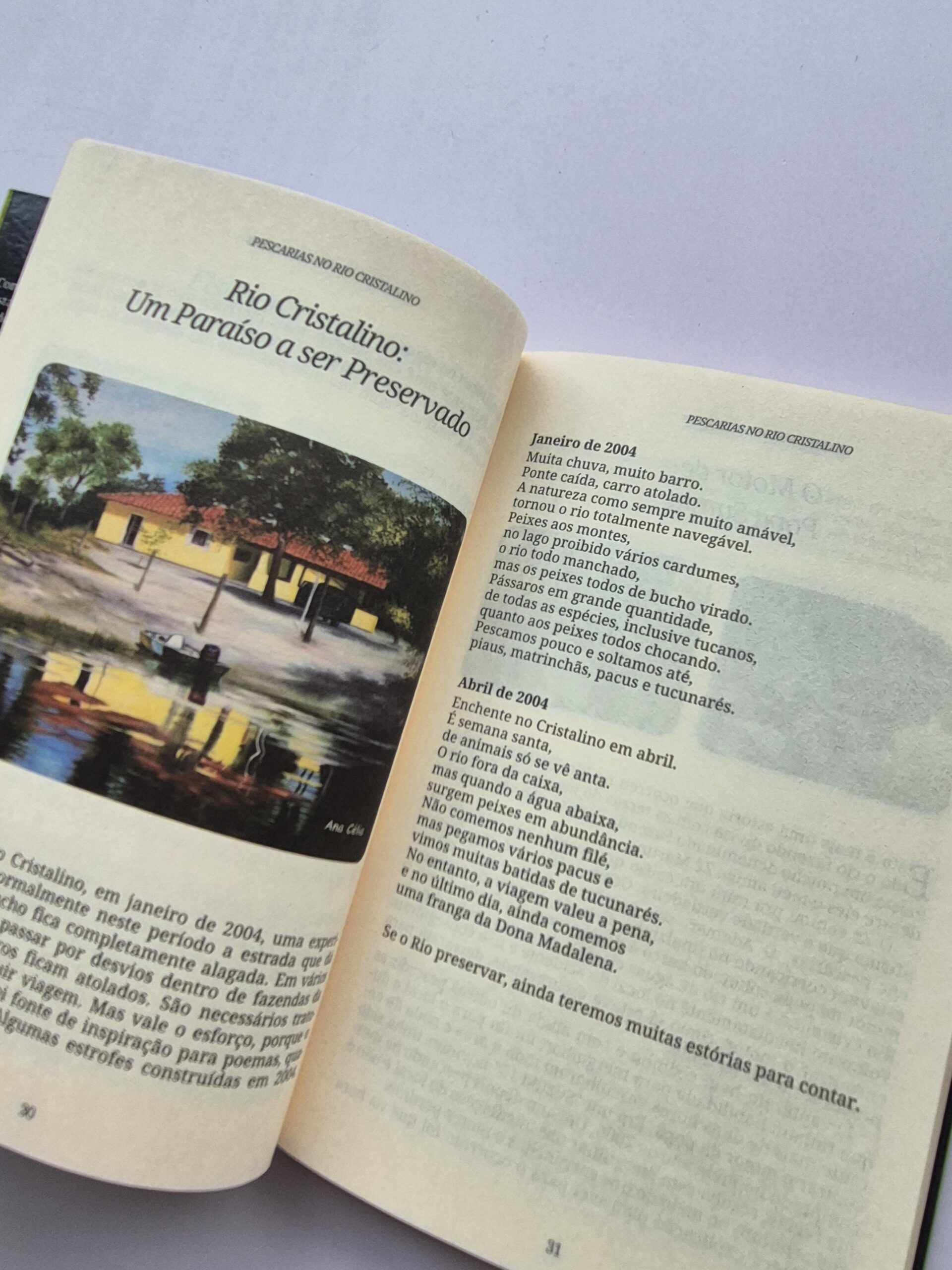 Livro Causos de Pescaria & Outras Estórias - Renato Maurício 1ª Edição ⓛ - Imagem 7