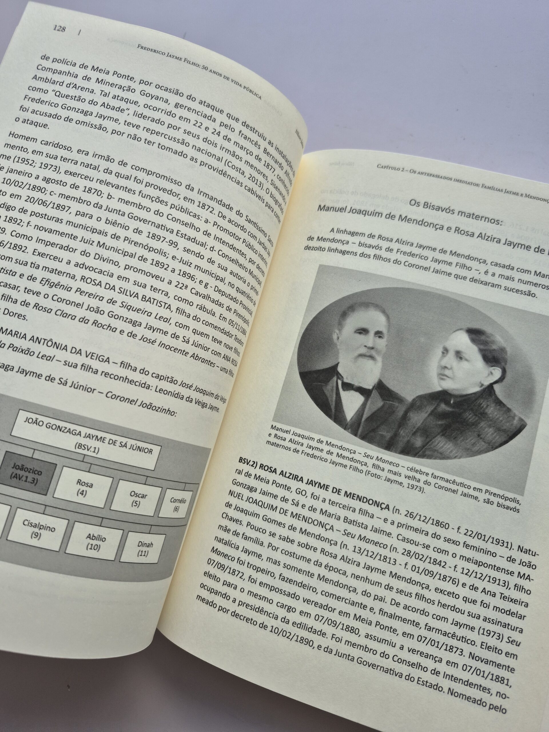 Livro Frederico Jayme Filho 50 Anos de Vida Pública - Nilson Jaime 1ª Edição ⓛ - Imagem 6
