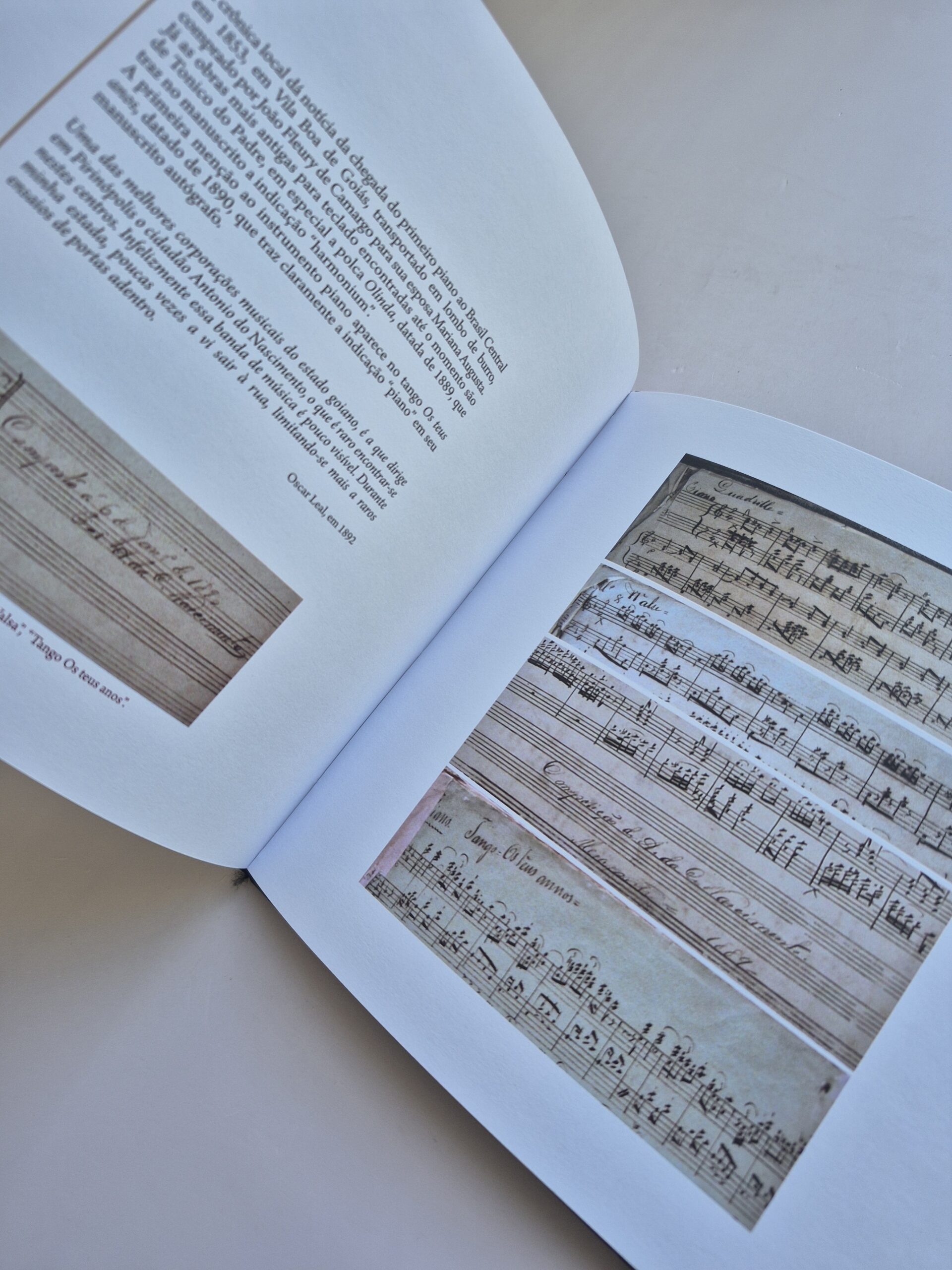 Livro Caderno de Tonico do Padre: Notas, Registros e Experimentos - Wolney Unes 1ª edição ⓛ - Imagem 4
