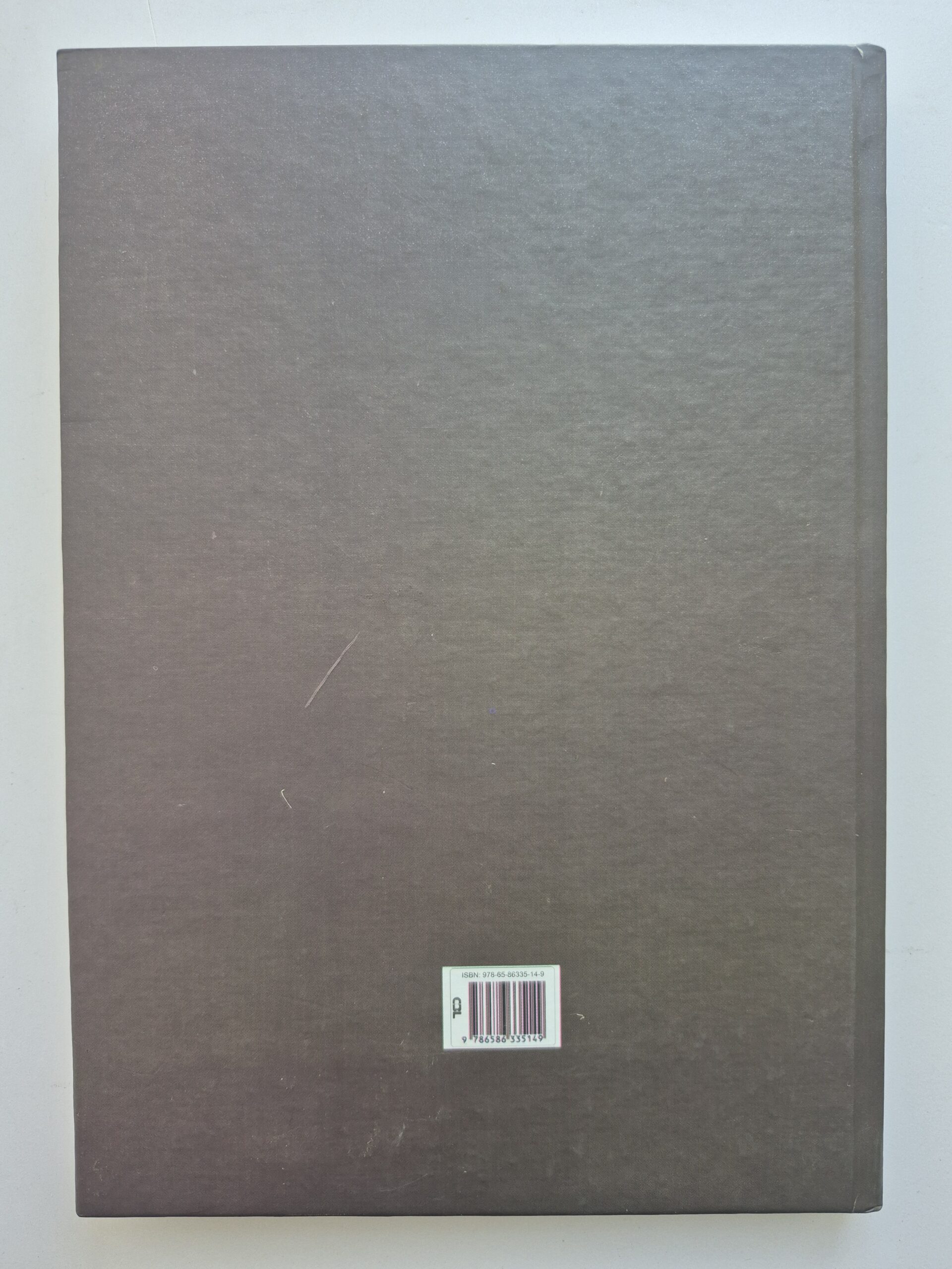 Livro Meu Negócio É Tijolo: A Vida de Bento Odilon Moreira - Iúri Rincon Godinho 1ª Edição - Imagem 6
