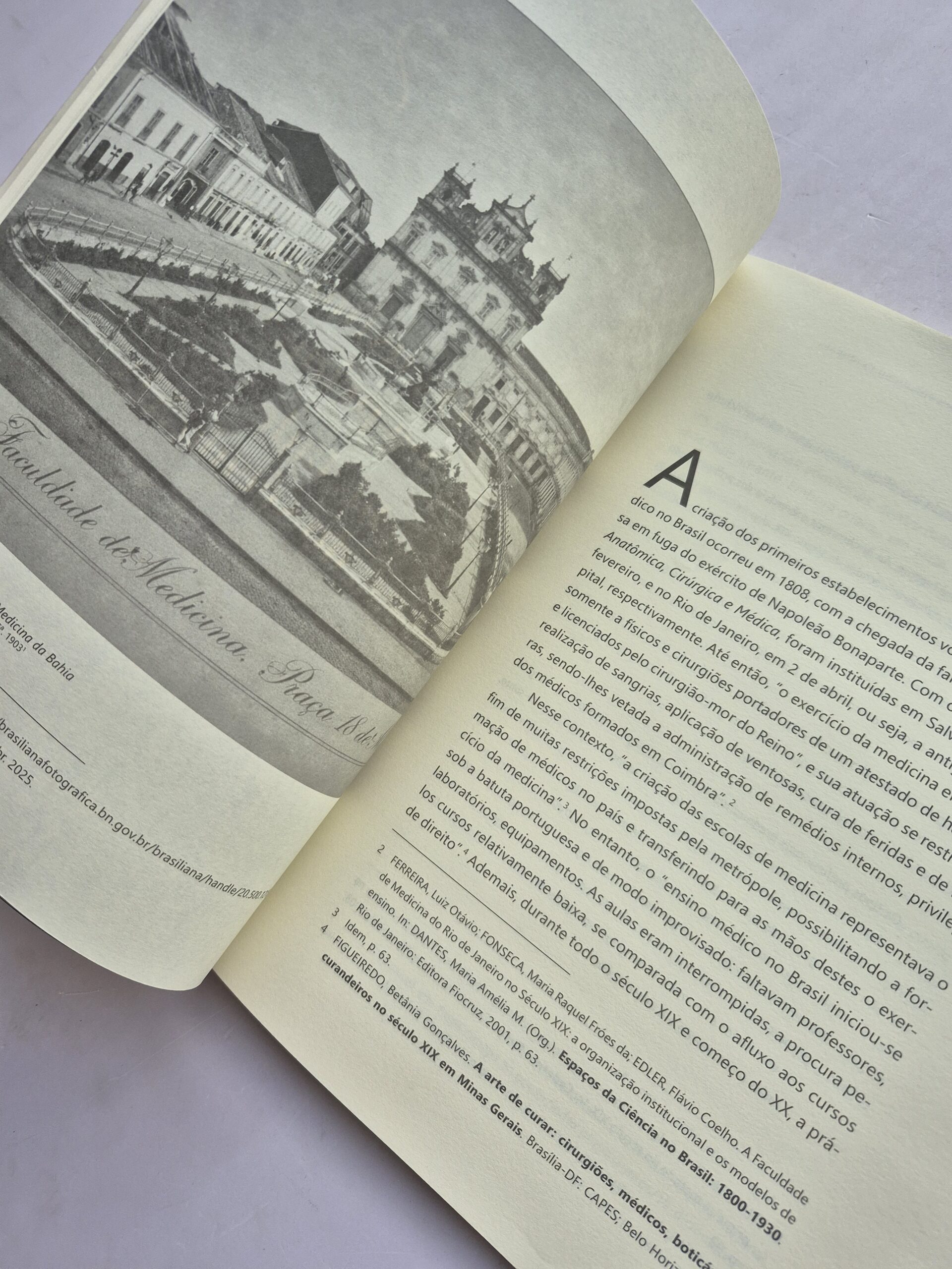 Livro As Theses De Thomaz De Almeida E Theodoro De Moraes: Os Dois Primeiros Médicos Goianos Diplomados No Brasil - Rildo Souza, Jales Mendonça 1ª edição ⓛ - Imagem 5