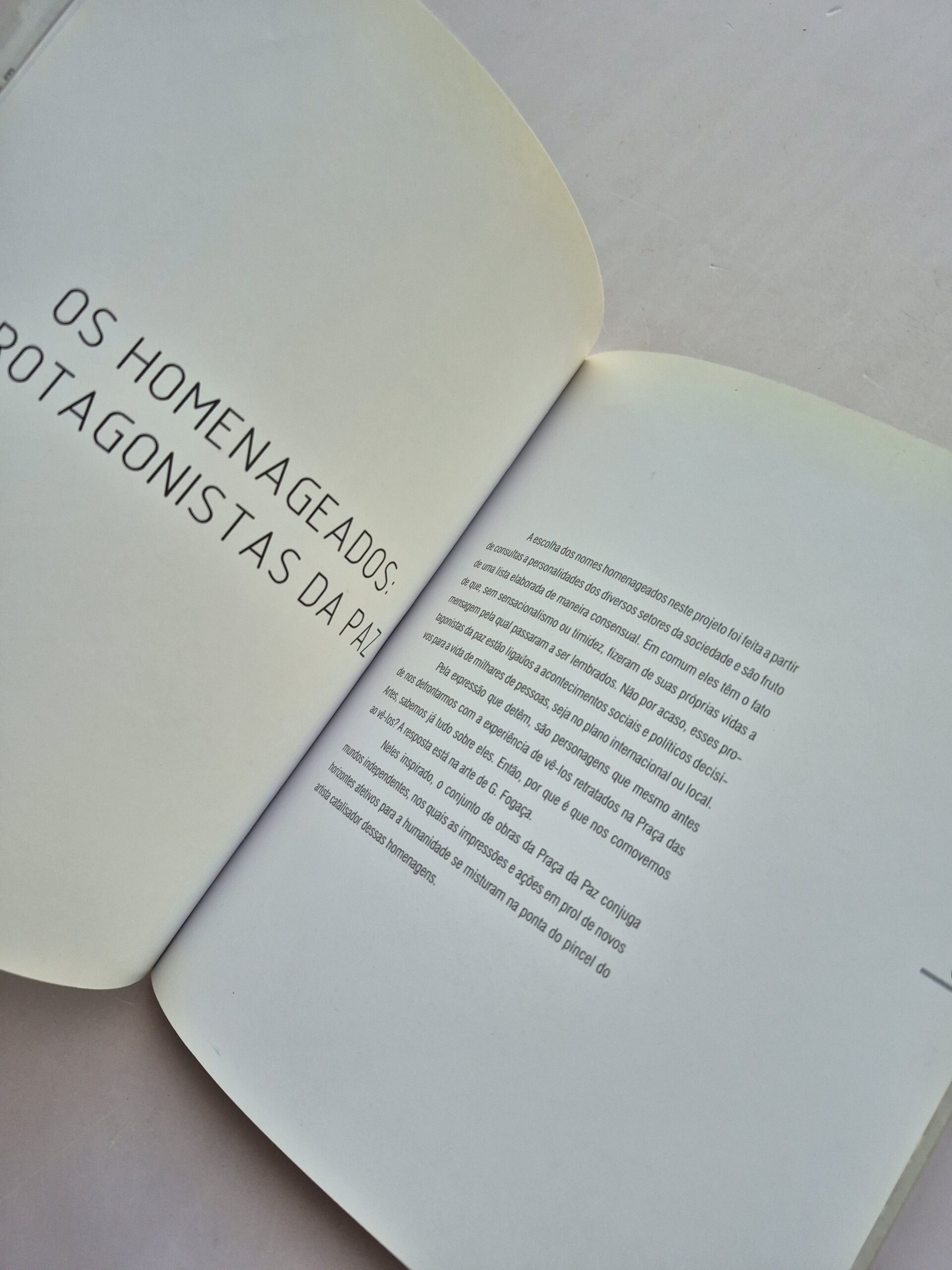Livro Praças das Artes: Um Caso De Arte Pública Unindo O Poder Privado, O Poder Público E O Poder Artístico de G. Fogaça - PX Silveira 1ª edição ⓛ - Imagem 3
