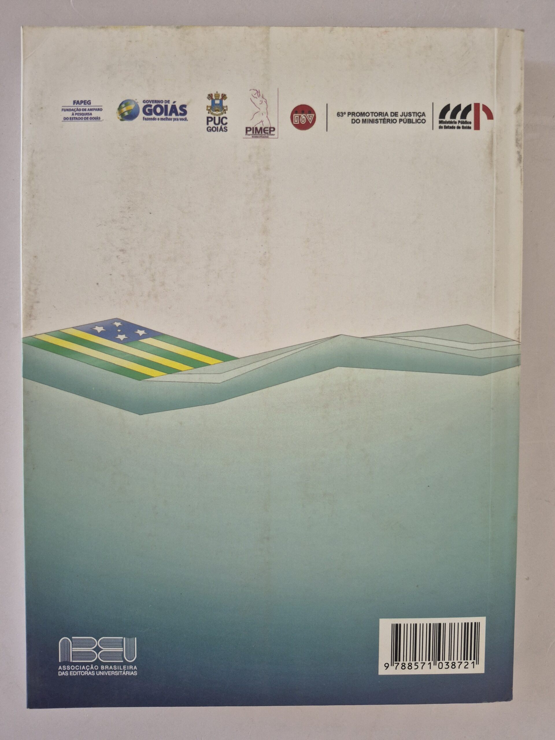 Livro As Políticas Públicas Em Goiás Na Efetivação da Lei Maria da Penha 1ª edição ⓛ - Imagem 6